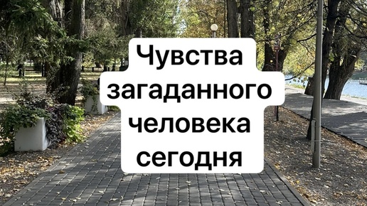 Чувства загаданного человека сегодня ❤️