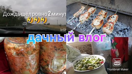 Собрали урожай / Шашлык / Заболела / Что же с клубникой??? Дачный влог