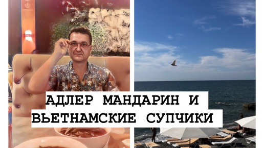 АДЛЕР, МАНДАРИН И ВЬЕТНАМСКИЙ COM FO