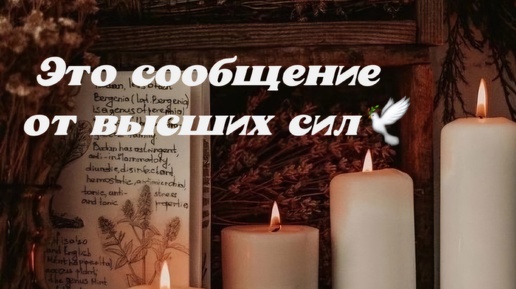 Télécharger la video: 📩ВАМ ПИСЬМО 📩ОТ ВЫСШИХ СИЛ🕊🙏