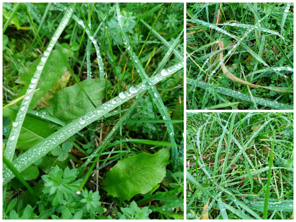 Вот такая красота была днем 🙂 Не могла не сфотографировать.