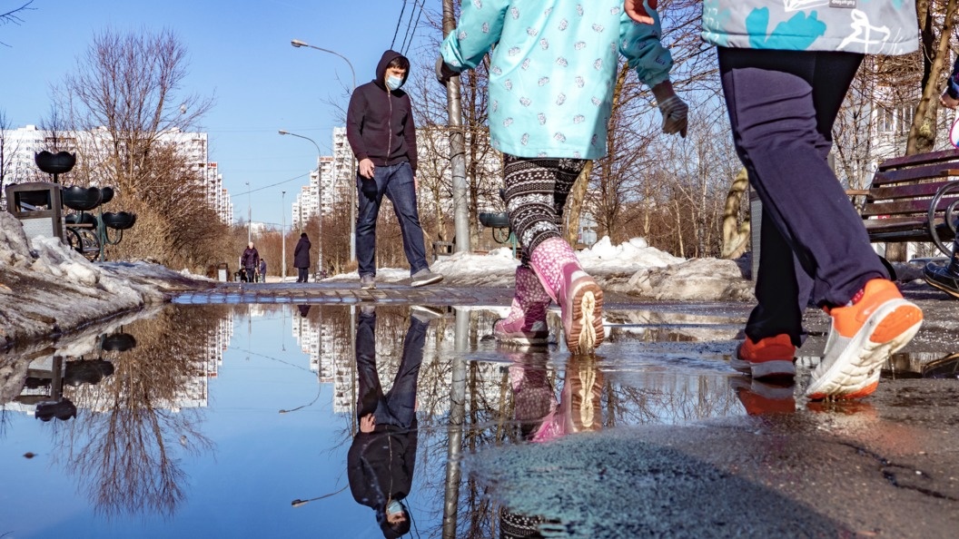    Фото: Константин Кокошкин/Globallookpress.