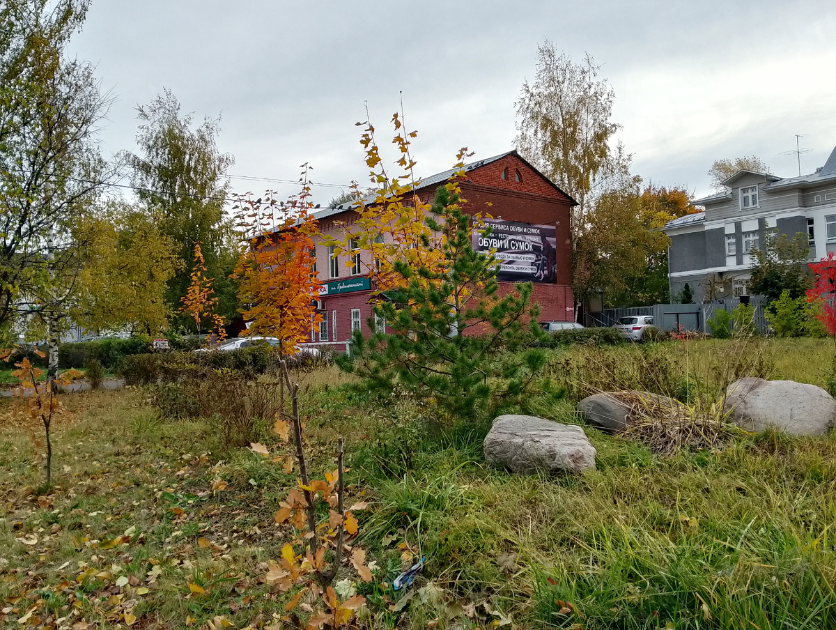 Краски утра понедельника, фото автора