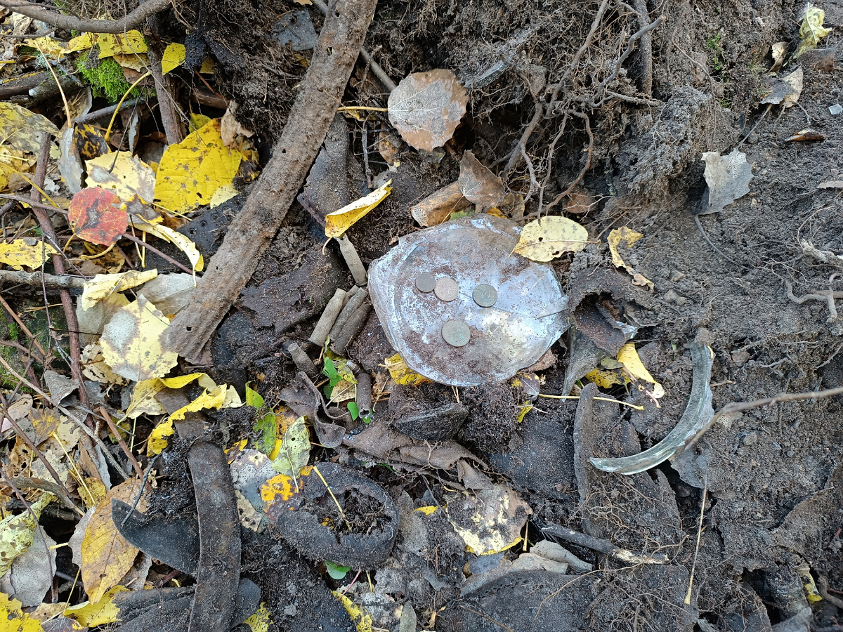 Немного монет