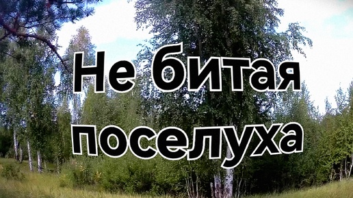 Небитая поселуха шансы были но уже поздно