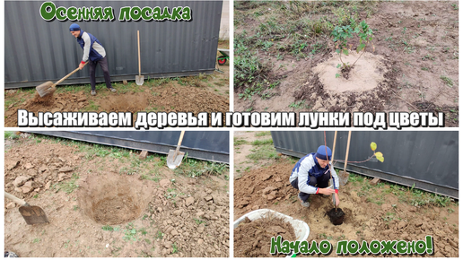 ЖИЗНЬ ПОСЛЕ ПЕРЕЕЗДА В ДОМ! Осенняя посадка 🌳🌱 Высаживаем деревья и готовим лунки под цветы. Начало положено!