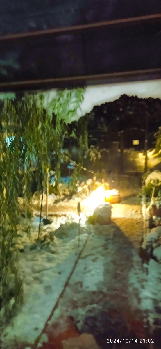 "посадочные огни" в беседку и сползающий снег с крыши крыльца (верхняя полоса) на 21-02