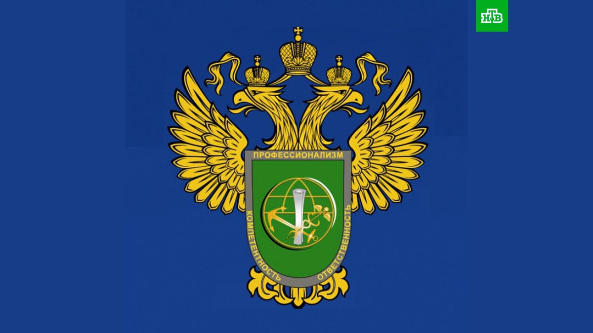    Фото: consulategeneralspitsbergen / t.me