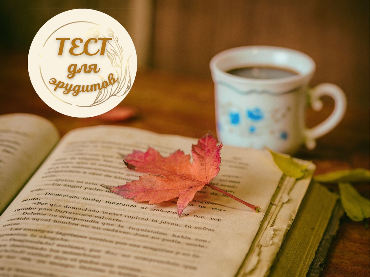 Источник изображения: pixabay.com, дизайн автора публикации