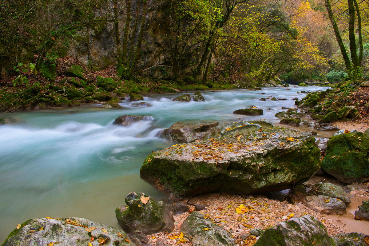 Картинка с бесплатного фотостока https://unsplash.com, автор Giuman Photo