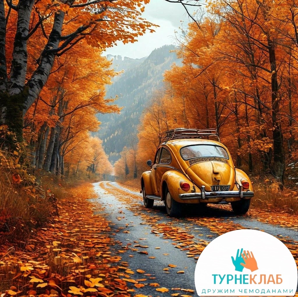 коллаж автора и ИИ