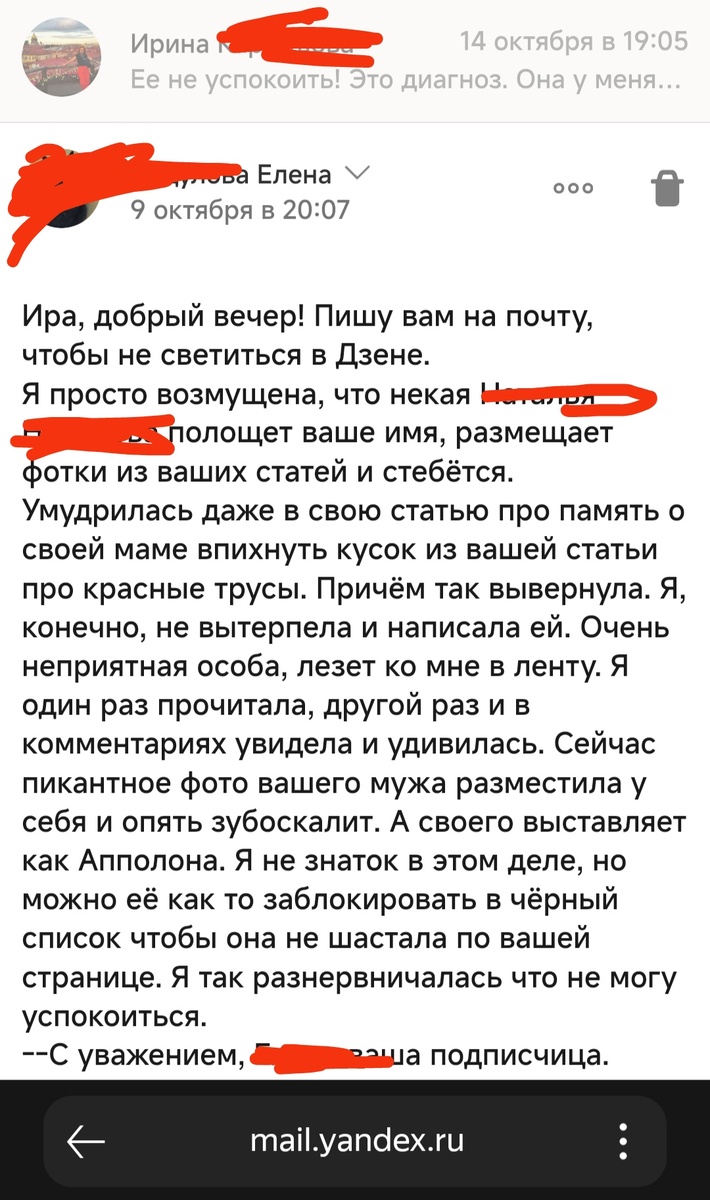 Скрин личной переписки. 