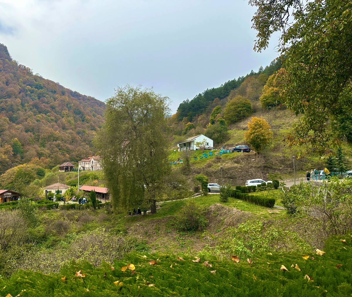 Фотография сделана автором канала