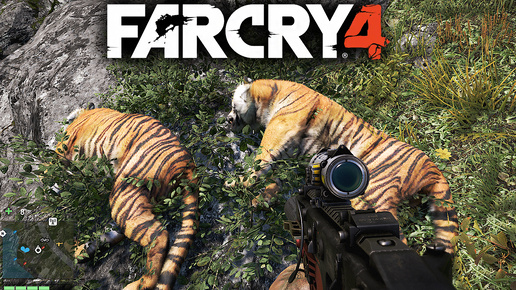 ТИГРЫ АТАКУЮТ МИРНЫХ ЖИТЕЛЕЙ! | ОХОТА:ВЫЖИВАНИЕ | ПРОХОЖДЕНИЕ FAR CRY 4 БЕЗ КОММЕНТАРИЕВ