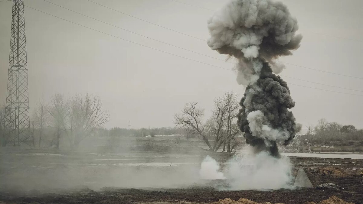     Источник: 1MI