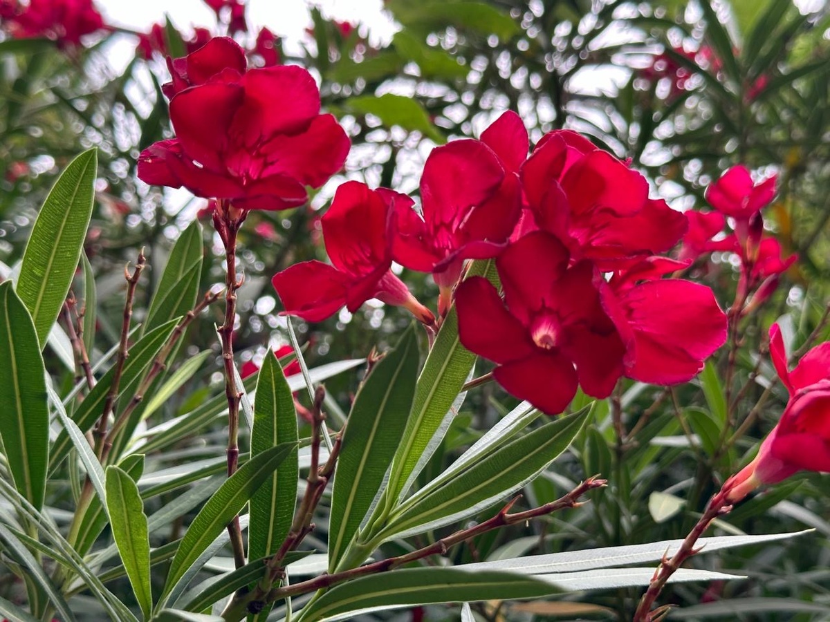 С днем рождения, Татьяна! 