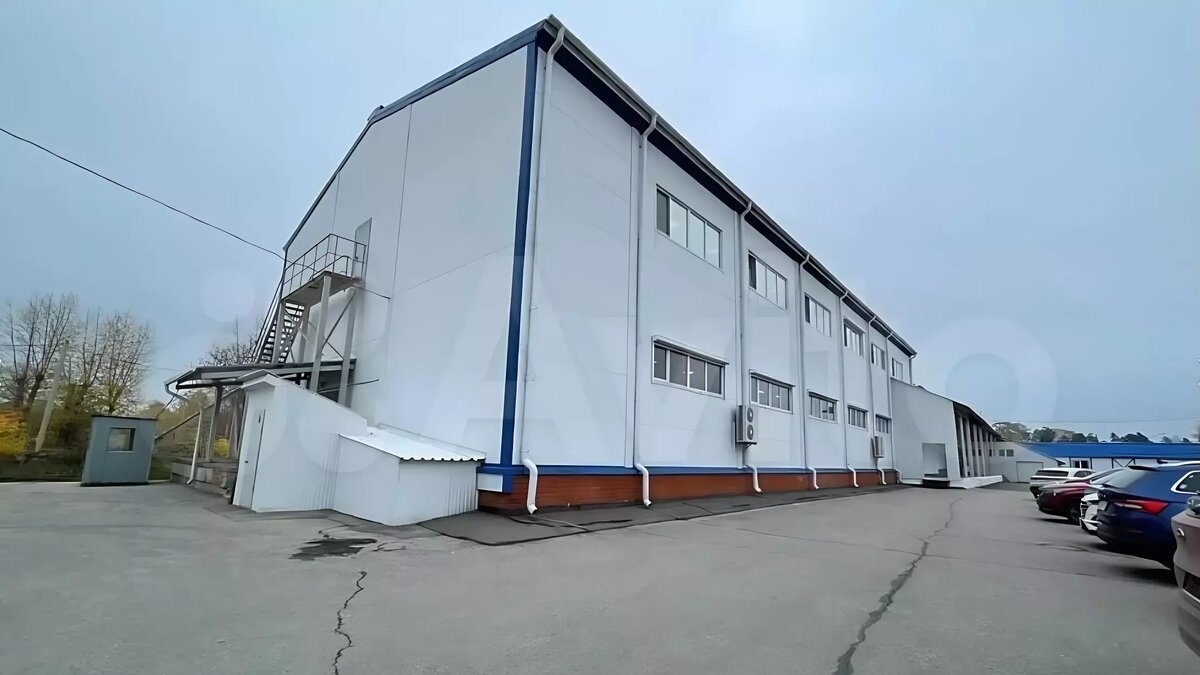     Источник: Авито
