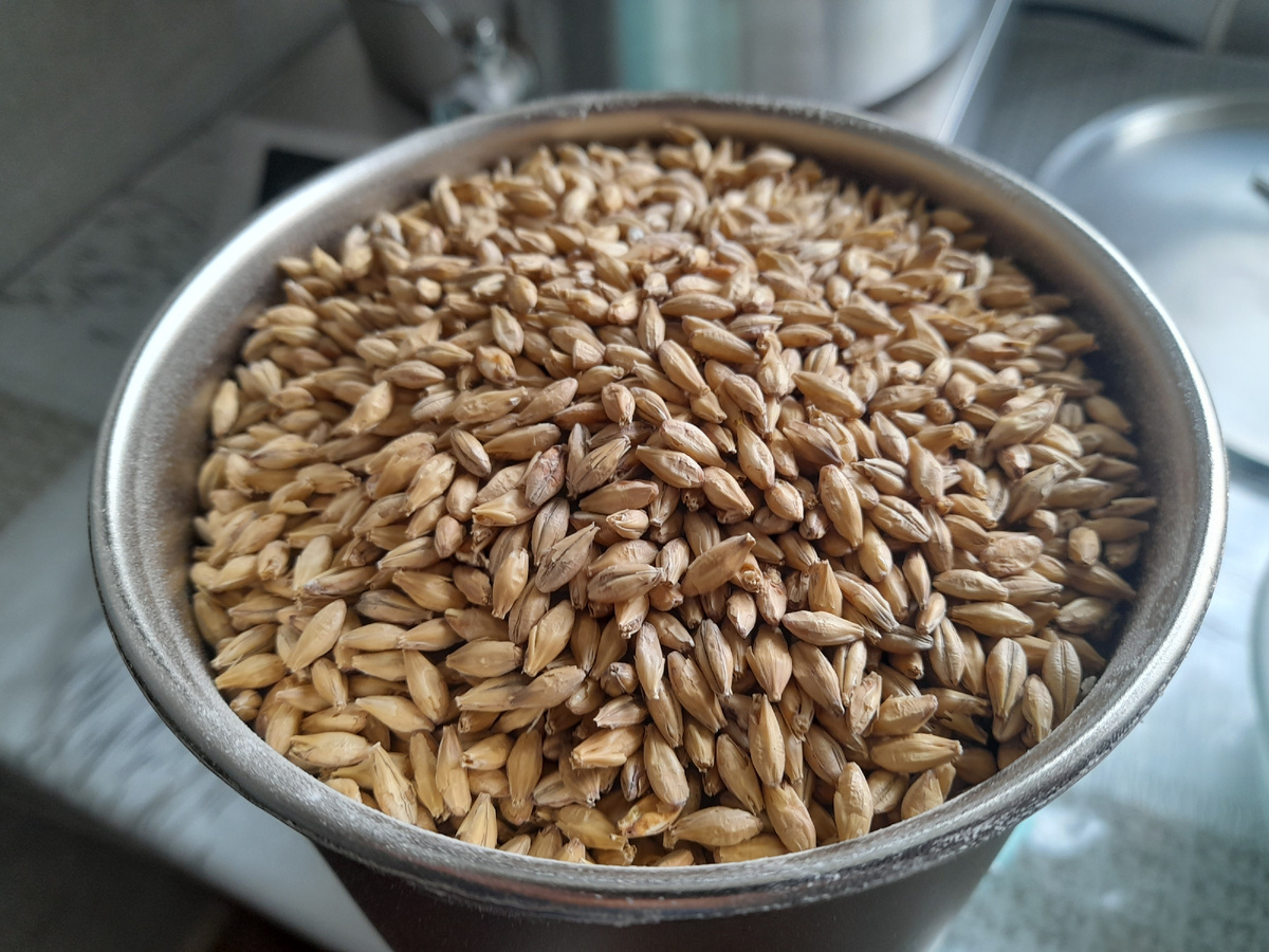 Ячменный копчёный солод в бункере мельницы