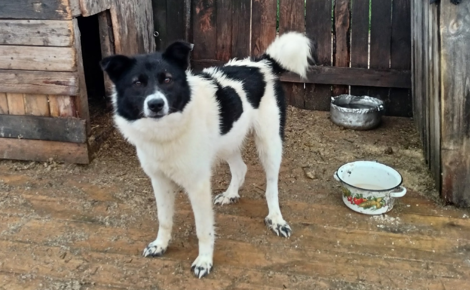 Но шло время, а никто не приходил.