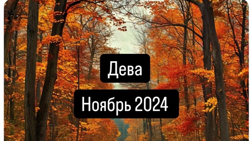 ДЕВА. Прогноз на Ноябрь 2024