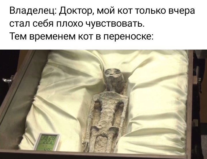 Изображение взято из сети Интернет*