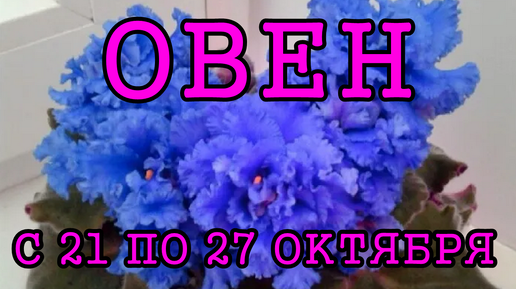 ОВЕН таро прогноз на неделю с 21 по 27 ОКТЯБРЯ 2024 года.