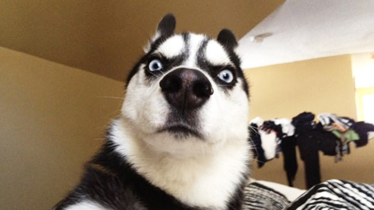 -А ты куда еще собирался мне эти таблетки?!