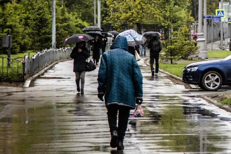    Фото: Общественная Служба Новостей Илья Мартов