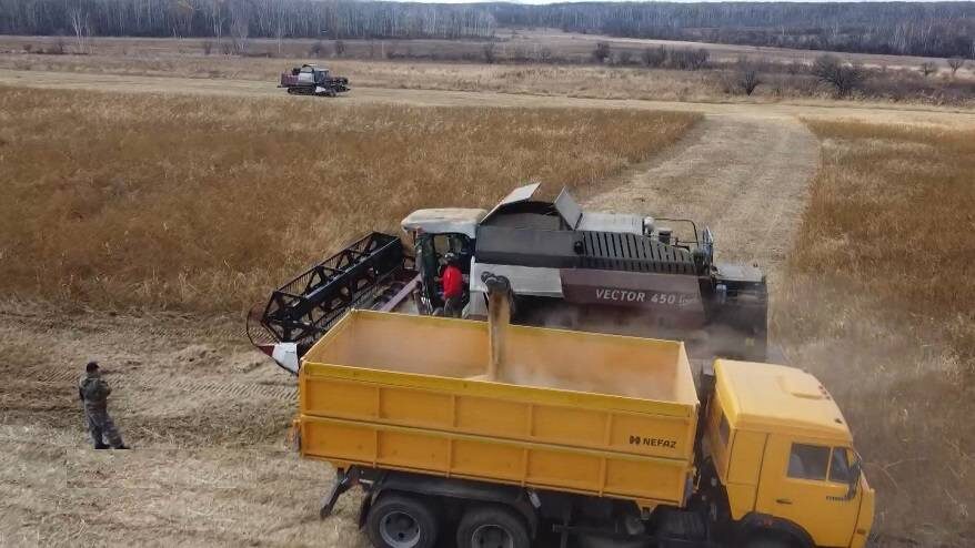    Источник фото: