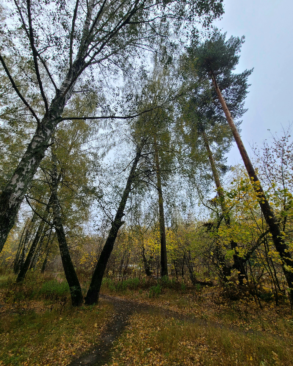 Но осень красивая всё-таки, согласны?