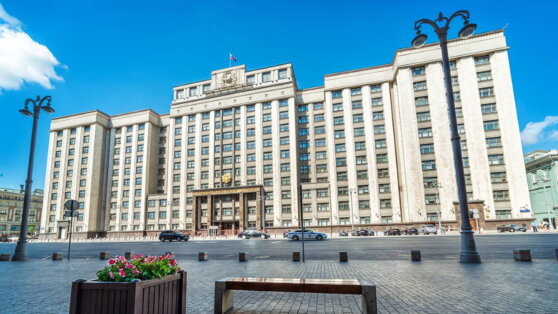    В Госдуме готовят проект закона о контроле над квадробингом Егор Гордеев