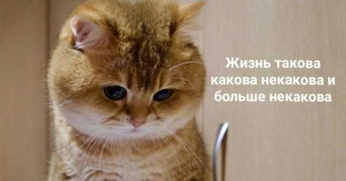 Internet