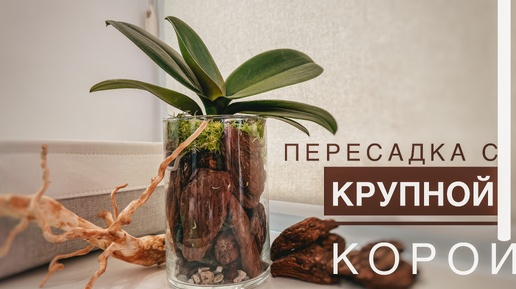 Ну ЭТО ОЧЕНЬ КРАСИВО😍 и минутка бытового😀