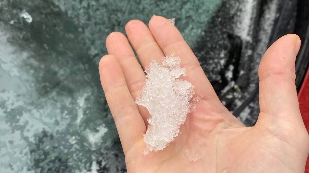     Источник: Ксения А.