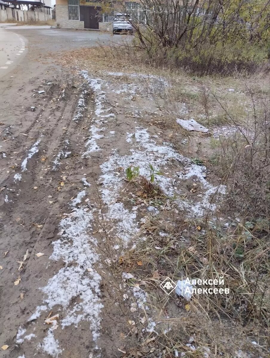     Источник: Алексей А.