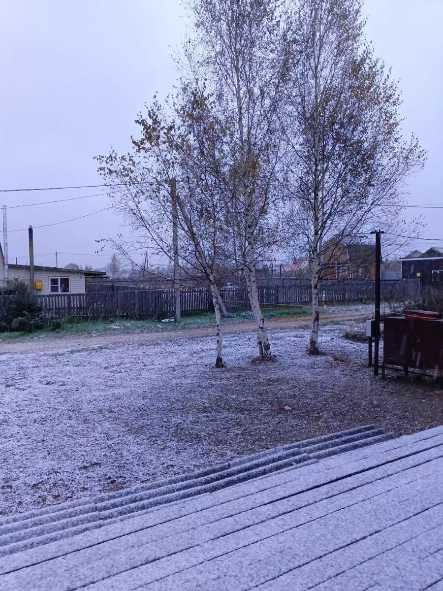     Источник: Елена Р.