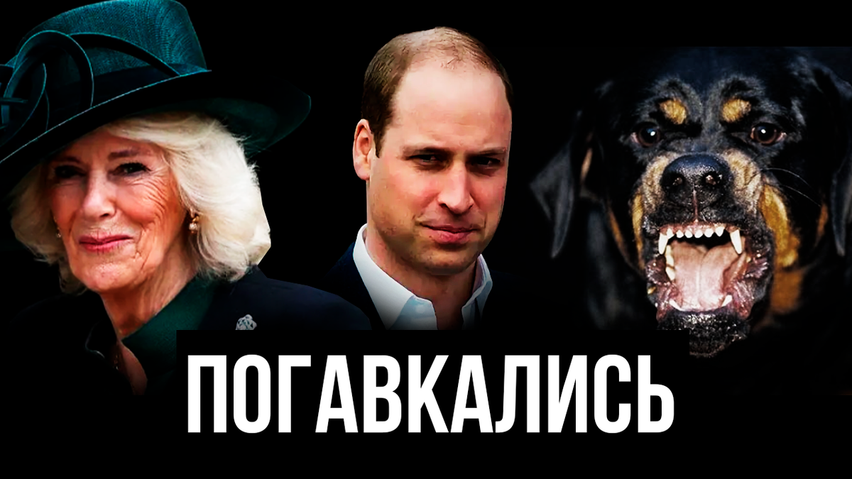 Коллаж автора