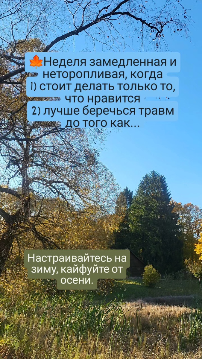 Осеннее настроение. 