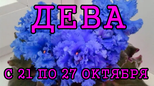 ДЕВА таро прогноз на неделю с 21 по 27 ОКТЯБРЯ 2024 года.