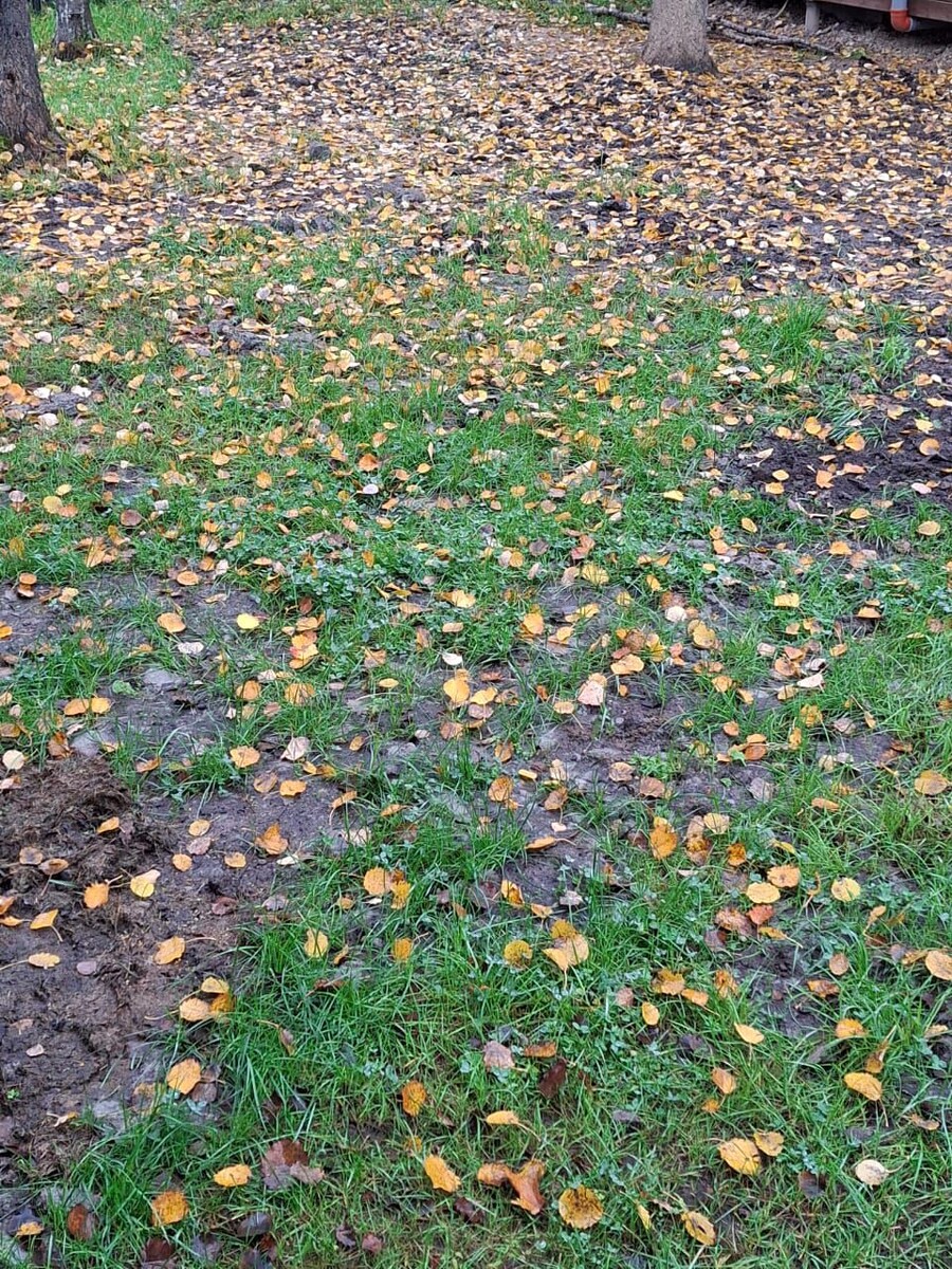 Осеннее настроение