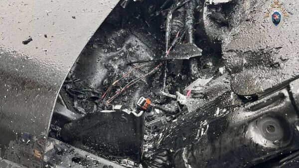    © Телеграм-канал Baza