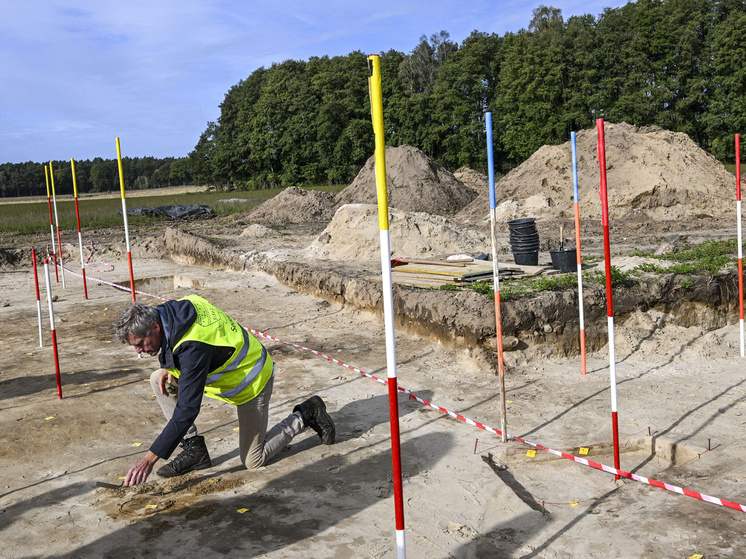     Фото: Jens Kalaene/dpa/Global Look Press