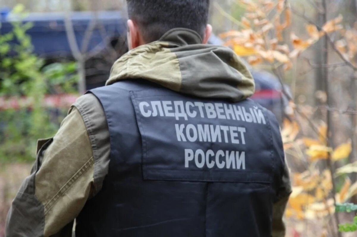    Умертвил ножом для забоя скота: СК расследовал убийство оренбурженка