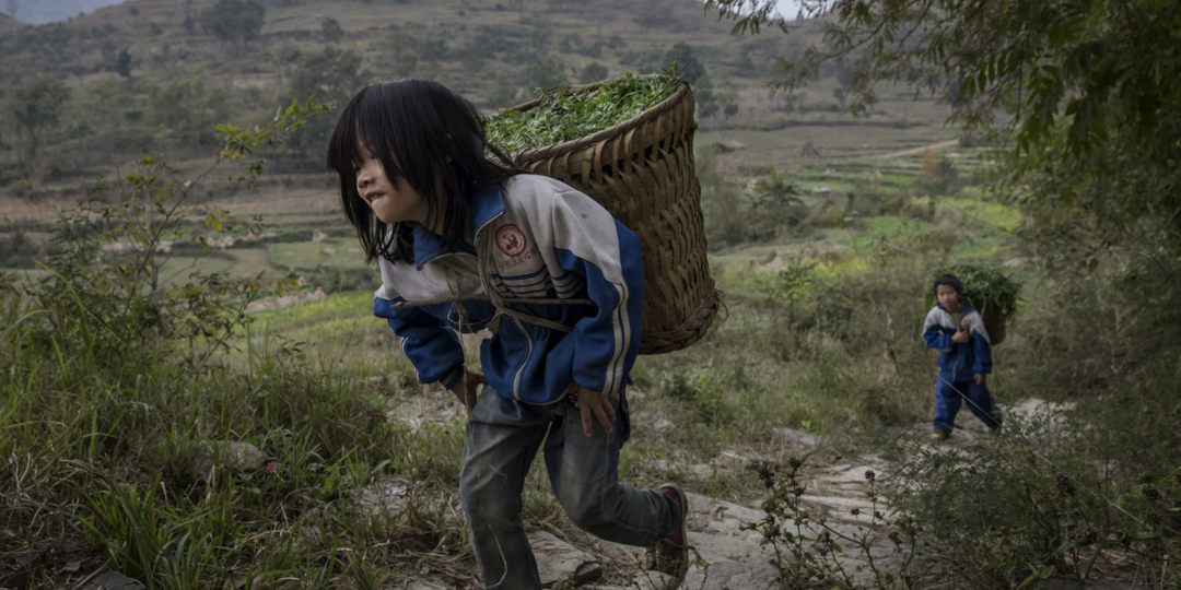 Кто такая «молодежь пустого гнезда» в Китае