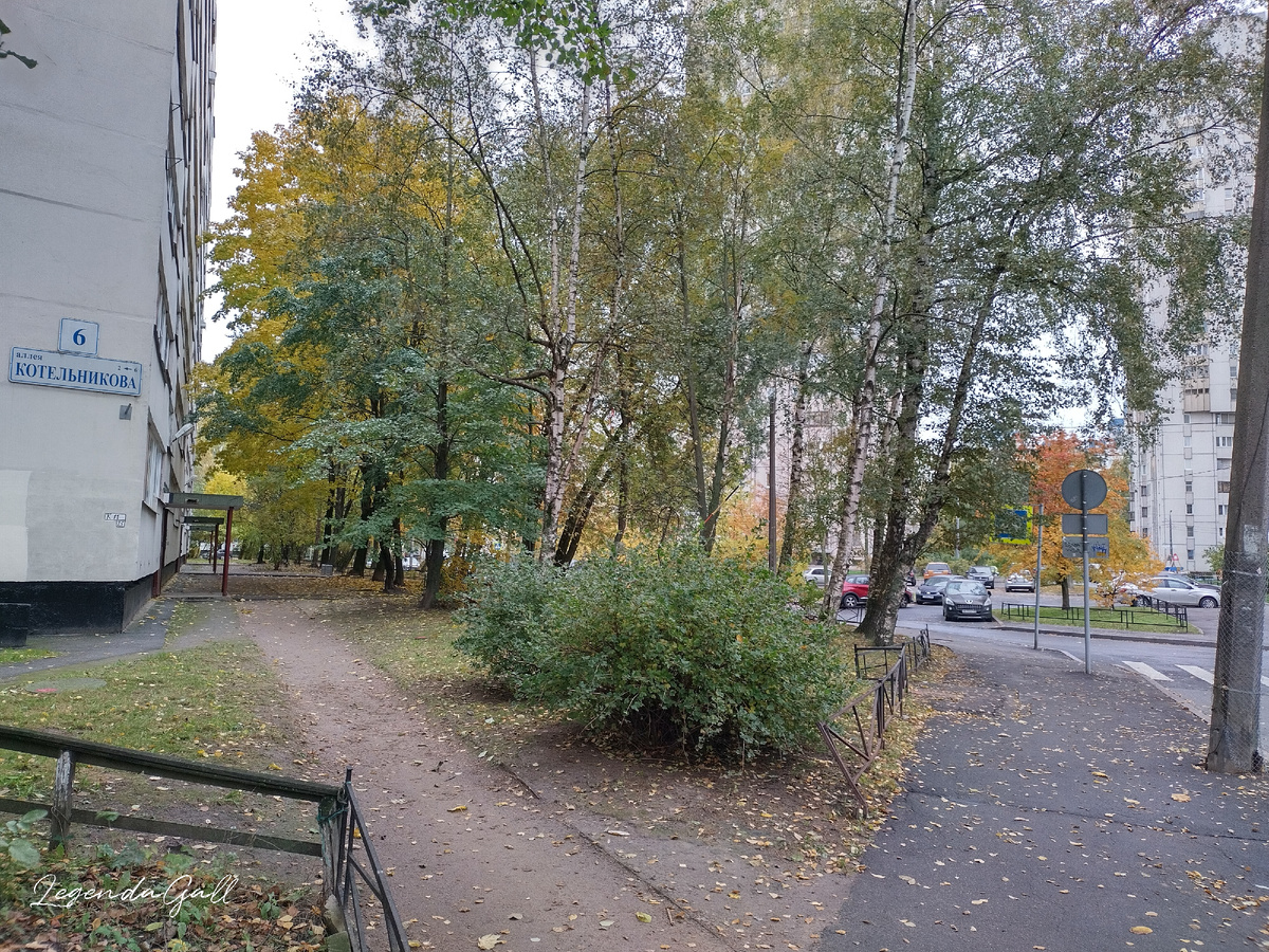 Осень 