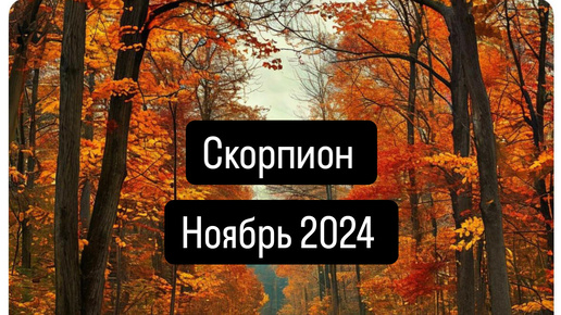 СКОРПИОН. Прогноз на Ноябрь 2024