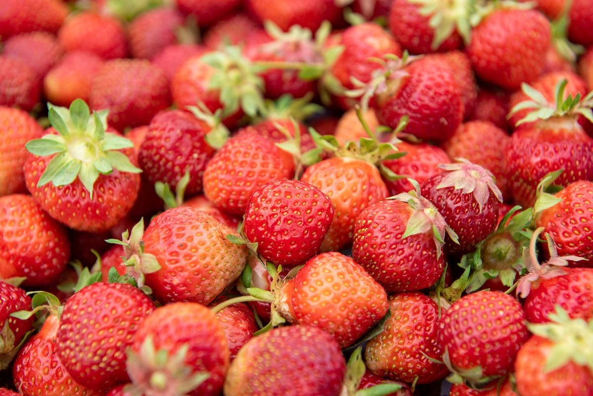 Фото: ИА Республика / Лилия Кончакова