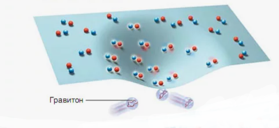 Взаимодействие материи и гравитона