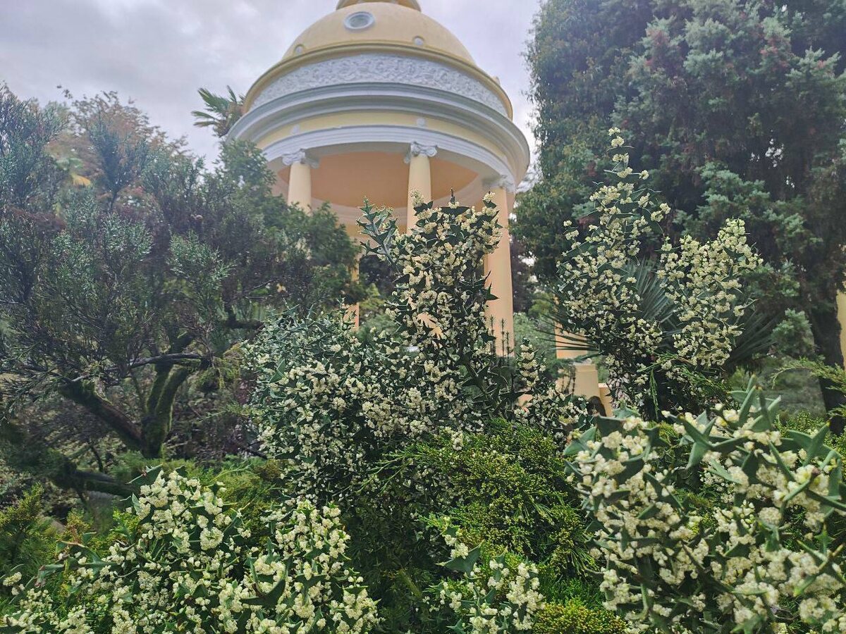  📷