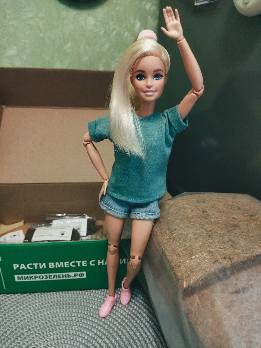 Barbie Милли Безграничные движения